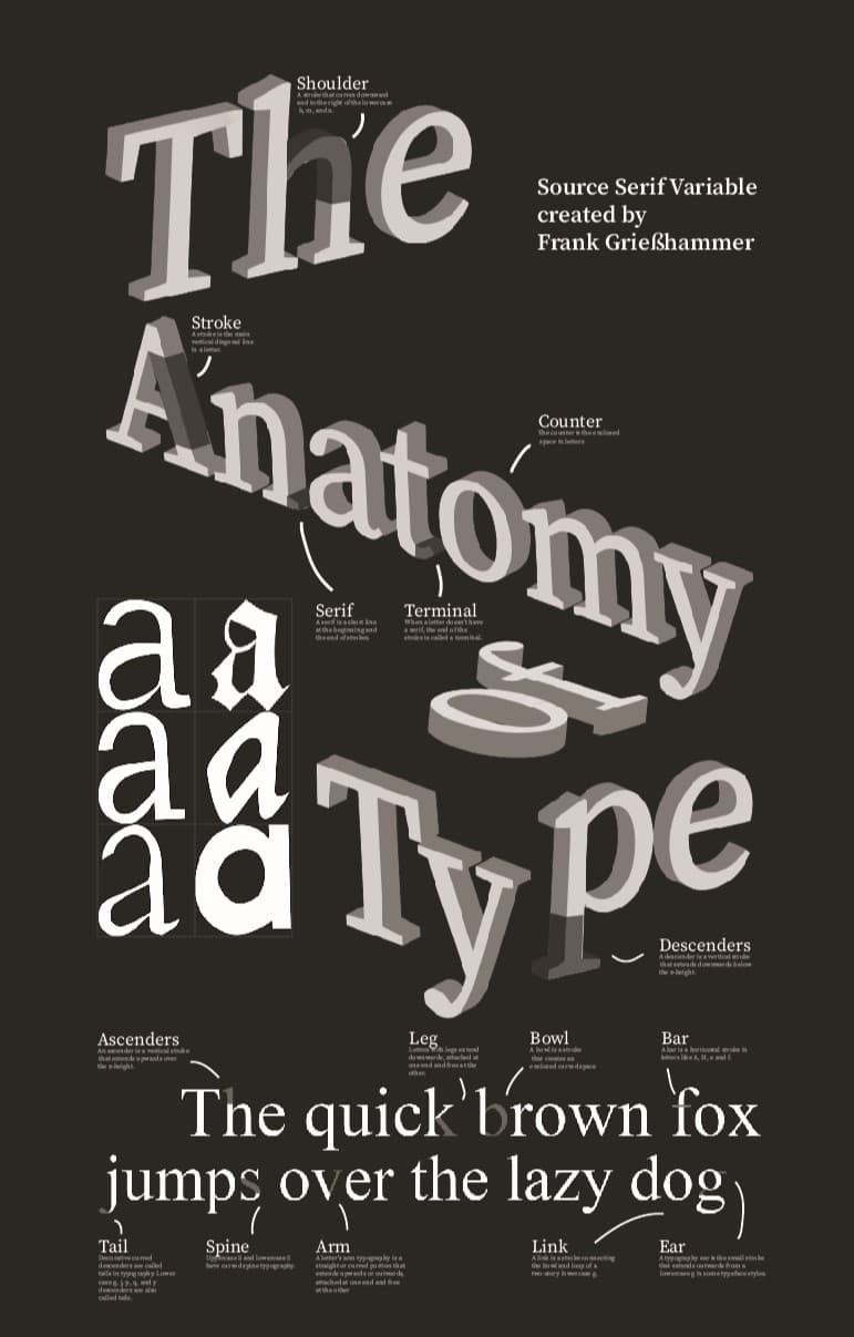 Source Serif type anatomy poster
